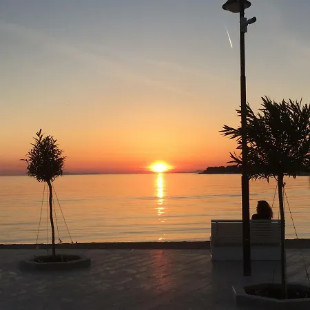 Smiljana Primošten